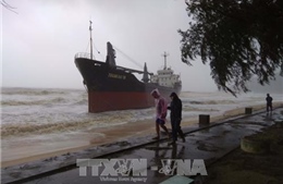 Bình Định: Đưa 70 thuyền viên tàu hàng gặp nạn vào bờ an toàn